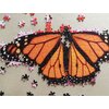 Puzzle TACTIC Motyl 58315 (1000 elementów) Tematyka Owady