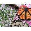 Puzzle TACTIC Motyl 58315 (1000 elementów) Tematyka Owady