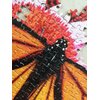Puzzle TACTIC Motyl 58315 (1000 elementów) Liczba elementów [szt] 1000