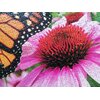 Puzzle TACTIC Motyl 58315 (1000 elementów) Załączona dokumentacja Instrukcja obsługi w języku polskim