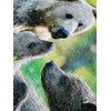 Puzzle TACTIC Bear Family 58679 (1000 elementów) Typ Dla dorosłych