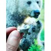 Puzzle TACTIC Bear Family 58679 (1000 elementów) Typ Dla dzieci