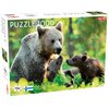 Puzzle TACTIC Bear Family 58679 (1000 elementów)