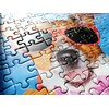 Puzzle TACTIC Wakacyjne Psy 58311 (500 elementów) Rodzaj Tradycyjne