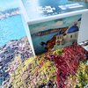 Puzzle TACTIC Santorini Greece 58678 (1000 elementów) Rodzaj Tradycyjne