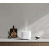 Ryżowar XIAOMI Smart Multifunctional Rice Cooker EU Podtrzymywanie ciepła Tak