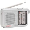 Radio AIWA RS-55SL Analogowe Srebrny Dźwięk Mono