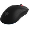 Mysz GENESIS Zircon XIII Czarny Komunikacja z komputerem Przewodowa