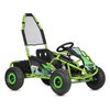 Pojazd elektryczny IML Buggy HP 8E Zielono-czarny Moc silnika [W] 1000