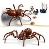 LEGO 76434 Harry Potter Aragog w Zakazanym Lesie Motyw Aragog w Zakazanym Lesie