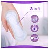 Wkładki higieniczne ALWAYS Dailies Fresh & Protect Normal (80 sztuk) Skład Adhesive