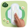 Podpaski NATURELLA Classic Normal Rozmiar 2 (40 sztuk) Na noc Nie