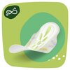 Podpaski NATURELLA Ultra Normal Plus Rozmiar 2 (36 sztuk) Rozmiar 2