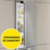 Lodówka LIEBHERR KGNsf 57Va03 No Frost 201.5cm Srebrna Kolor producenta Srebrny