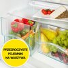 Lodówka LIEBHERR KGwe 1455 SmartFrost 137.2cm Biała Położenie zamrażarki Na dole