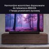 Soundbar SONY BRAVIA Theatre Bar 9 HT-A9000 Czarny 7.0.2-kanałowy,8K HDR,Dolby Atmos,HDMI eARC,DTS:X,Wi-Fi,BT Informacje dodatkowe Bravia Sync