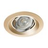 Oprawa sufitowa punktowa LIGHTLOGIC LL CILI DTO-G 30541