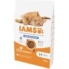 Karma dla kota IAMS Sterylized Adult Kurczak 10 kg Opakowanie Torebka