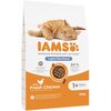 Karma dla kota IAMS Sterylized Adult Kurczak 10 kg Waga 10 kg