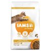 Karma dla kota IAMS For Vitality Hairball Kurczak 10 kg