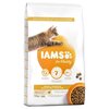 Karma dla kota IAMS For Vitality Hairball Kurczak 10 kg Opakowanie Torebka strunowa