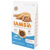 Karma dla kota IAMS For Vitality Kitten Ryba Morska 3 kg Opakowanie Torebka