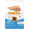 Karma dla kota IAMS For Vitality Kitten Ryba Morska 10 kg