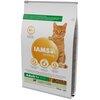 Karma dla kota IAMS For Vitality Adult Jagnięcina 10 kg Typ Sucha