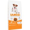 Karma dla psa IAMS ProActive Health Adult Small & Medium Breed Chicken 12 kg Smak wiodący Kurczak