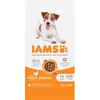 Karma dla psa IAMS ProActive Health Adult Small & Medium Breed Chicken 12 kg