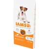 Karma dla psa IAMS ProActive Health Adult Small & Medium Breed Chicken 12 kg Smak Kurczak