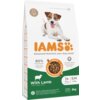 Biała torba z karmą dla psa marki IAMS, z dużym pomarańczowym napisem "IAMS" i zdjęciem psa. Na opakowaniu widnieje tekst: "Advanced Nutrition your dog needs", "80% Animal Protein", "With Lamb", "1+ Years", "S/M <25kg", "3kg", oraz ikony i informacje o systemie DentalCare i zrównoważonym odżywianiu.
