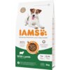 Opakowanie karmy dla psa IAMS For Vitality Adult Small & Medium Breed Lamb 3 kg z wizerunkiem psa na górze oraz napisami: "IAMS", "Advanced Nutrition your dog needs", "80% Animal Protein", "Complete & Balanced Nutrition", "With Lamb", "1+ Years", "S/M <25kg", "3kg". Widoczne są również ikony i oznaczenia dotyczące systemu DentalCare oraz informacji o recyklingu.