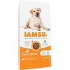 Karma dla psa IAMS For Vitality z Kurczakiem 12 kg Smak Kurczak