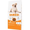 Karma dla psa IAMS For Vitality z Kurczakiem 12 kg Typ Sucha