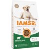 Opakowanie karmy dla psa marki IAMS For Vitality Adult Large Breed Lamb 3 kg, z wizerunkiem psa na górze i dużym napisem "IAMS" poniżej. Na opakowaniu znajdują się informacje: "75% Animal Protein", "1+ Years", "L >25kg", "With Lamb", "3kg", oraz ikony dotyczące systemu DentalCare i recyklingu.