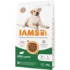 Opakowanie karmy dla psa marki IAMS For Vitality Adult Large Breed Lamb 3 kg, z wizerunkiem psa oraz napisami: "75% Animal Protein", "Complete & Balanced Nutrition", "With Lamb", "1+ Years", "L >25kg", "3kg". Widoczne są również informacje o systemie DentalCare oraz ikona recyklingu.