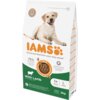 Na zdjęciu znajduje się opakowanie karmy dla psa marki IAMS, z wizerunkiem psa na górze oraz napisami: "75% Animal Protein", "100% Complete & Balanced Nutrition", "With Lamb", "1+ Years", "L >25kg", "3kg". Opakowanie jest oznaczone jako "Recyclable Bag" i zawiera informacje o systemie DentalCare.