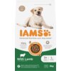Na zdjęciu znajduje się opakowanie karmy dla psa marki IAMS, z napisem "Advanced Nutrition your dog needs" oraz informacjami: "75% Animal Protein", "100% Complete & Balanced Nutrition", "DentalCare System", "With Lamb", "1+ Years", "L >25kg", "3kg". Widoczny jest również obrazek psa oraz ikona "Recyclable Bag".