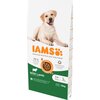 Karma dla psa IAMS For Vitality z Jagnięciną 12 kg