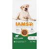 Karma dla psa IAMS For Vitality z Jagnięciną 12 kg Smak wiodący Jagnięcina