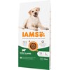 Karma dla psa IAMS For Vitality z Jagnięciną 12 kg Smak Jagnięcina