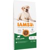 Karma dla psa IAMS For Vitality z Jagnięciną 12 kg Typ Sucha