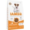 Biała torba z karmą dla psa marki IAMS, z dużym pomarańczowym napisem "IAMS" i zdjęciem psa na górze. Na opakowaniu widnieje informacja o zawartości 82% białka zwierzęcego, świeżym kurczaku, oraz że produkt jest przeznaczony dla psów powyżej 8 lat, o wadze do 25 kg, w opakowaniu 3 kg.