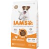 Opakowanie karmy dla psa IAMS ProActive Health Mature & Senior All breeds Chicken 3 kg z wizerunkiem psa na górze oraz napisami: "IAMS", "Advanced Nutrition your dog needs", "82% Animal Protein", "With Fresh Chicken", "8+ Years", "S/M <25kg", "3kg". Widoczne są również ikony i informacje o systemie DentalCare oraz o recyklingu opakowania.