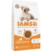 Opakowanie karmy dla psa marki IAMS For Vitality Senior Large Breed Chicken 3 kg z wizerunkiem psa na górze oraz napisami: "78% Animal Protein", "With Fresh Chicken", "7+ Years", "L >25kg", "Complete & Balanced Nutrition", "DentalCare System". Na opakowaniu znajduje się również informacja o możliwości recyklingu torby.