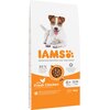 Karma dla psa IAMS ProActive Health Mature & Senior All breeds Chicken 12 kg Smak wiodący Kurczak
