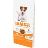 Karma dla psa IAMS ProActive Health Mature & Senior All breeds Chicken 12 kg Typ Sucha