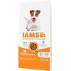 Karma dla psa IAMS ProActive Health Mature & Senior All breeds Chicken 12 kg Smak Kurczak
