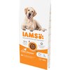 Karma dla psa IAMS For Vitality z Kurczakiem 12 kg